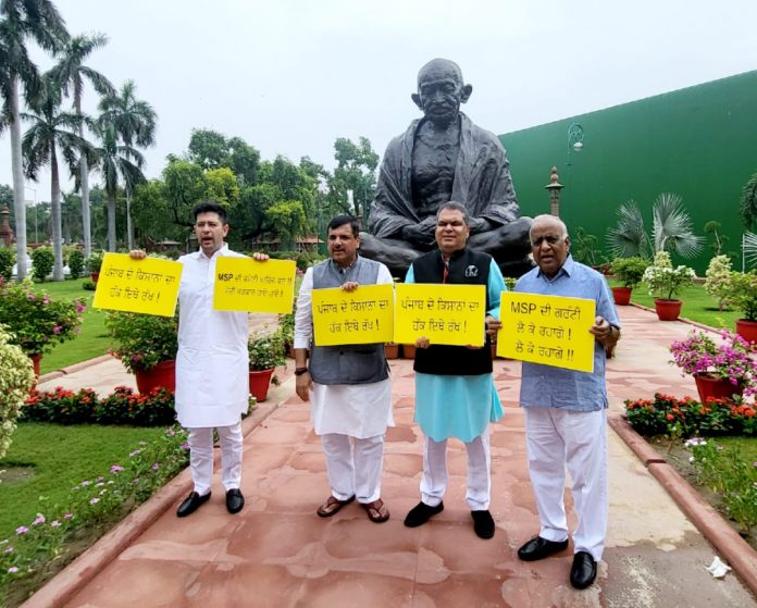 Demonstration of AAP MPs in Parliament