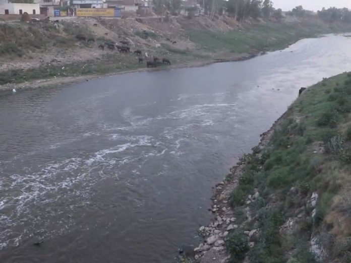 Contaminated Water of Ghaggar River