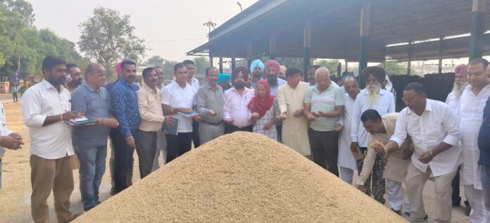 Purchase Of Paddy Crop Started