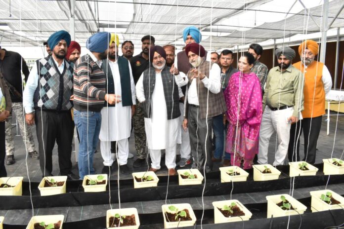 Urged to adopt hi-tech agriculture