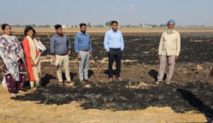 Strictness On Stubble Burning