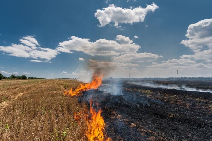 Ban On Waste Burning